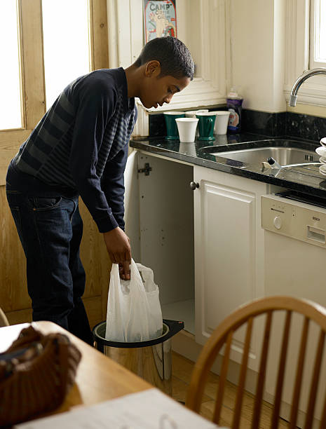 Attic Cleanout Services in Hays, MT